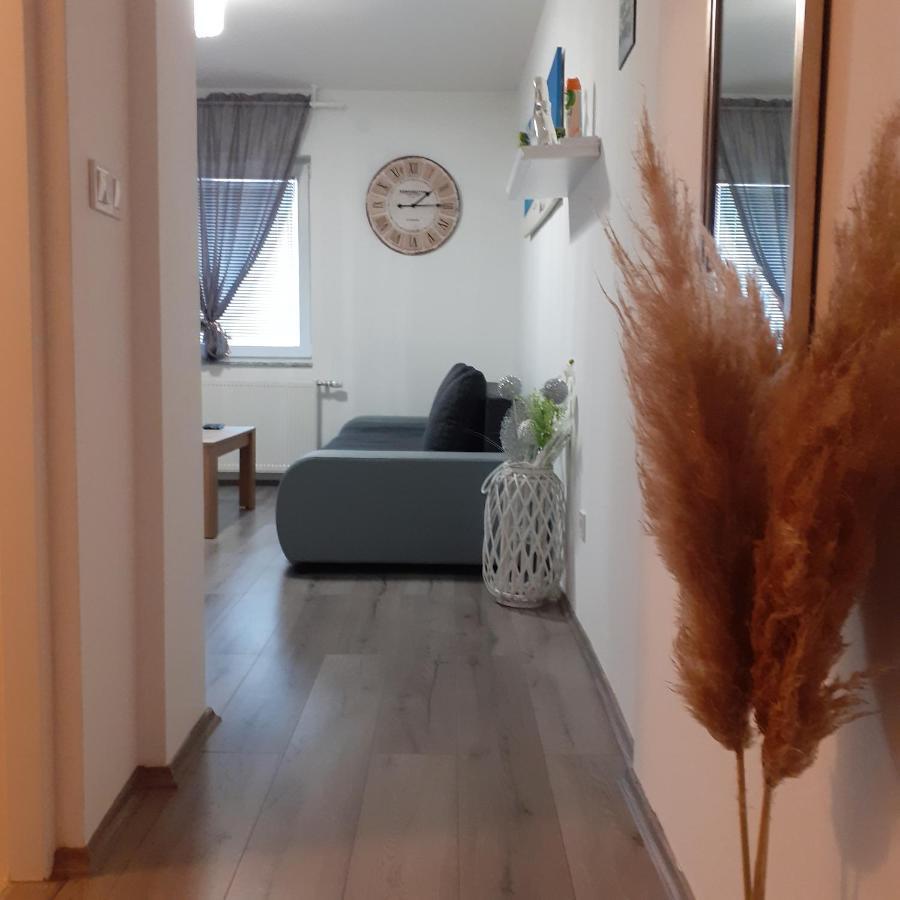 Apartmani Polanscak クラピンスケ・トプリツェ エクステリア 写真